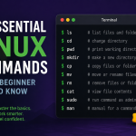 10 Essential Linux Commands Every Beginner Should Know
